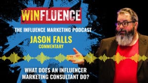 What do influencer consultants do?